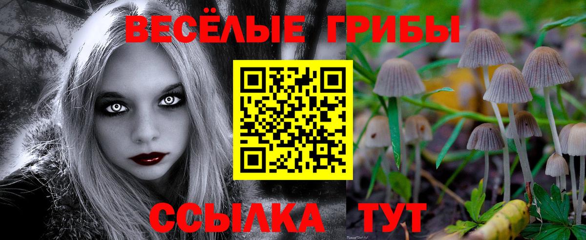 Галлюциногенные грибы прущие грибы Знаменск