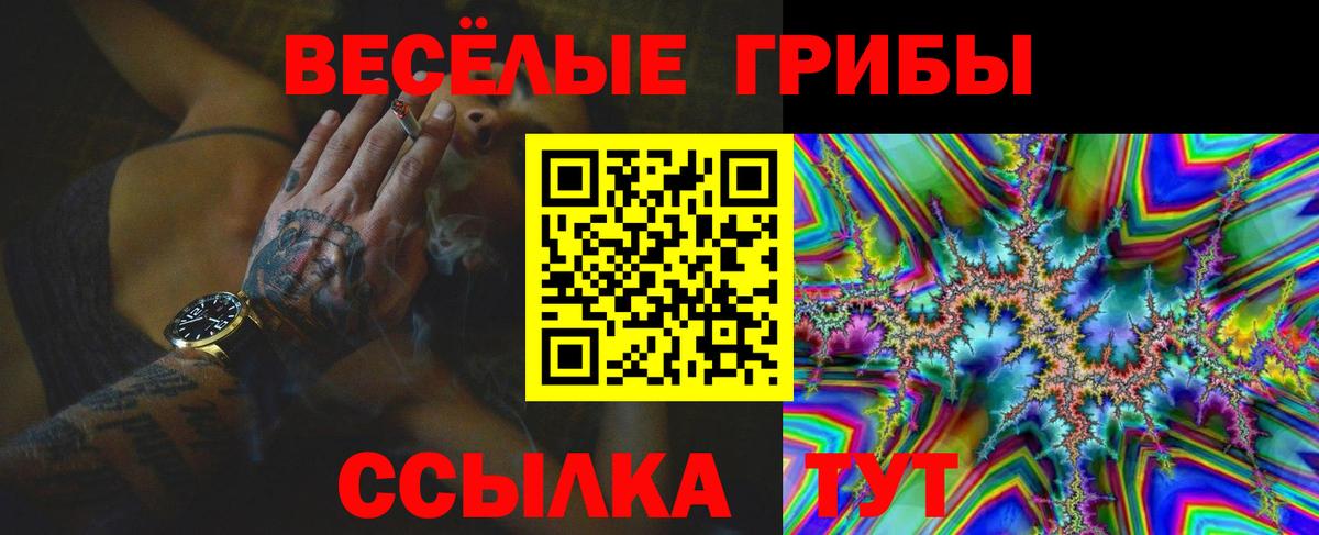 Галлюциногенные грибы Cubensis  Вход с VPN  Знаменск 